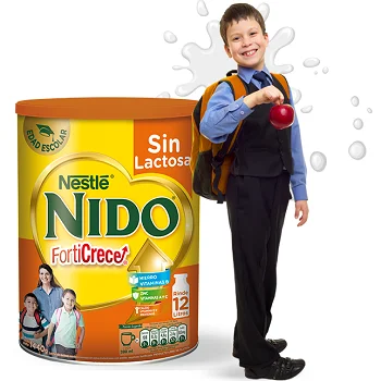 Instant Milk Powder Nestle Nido 24x400g