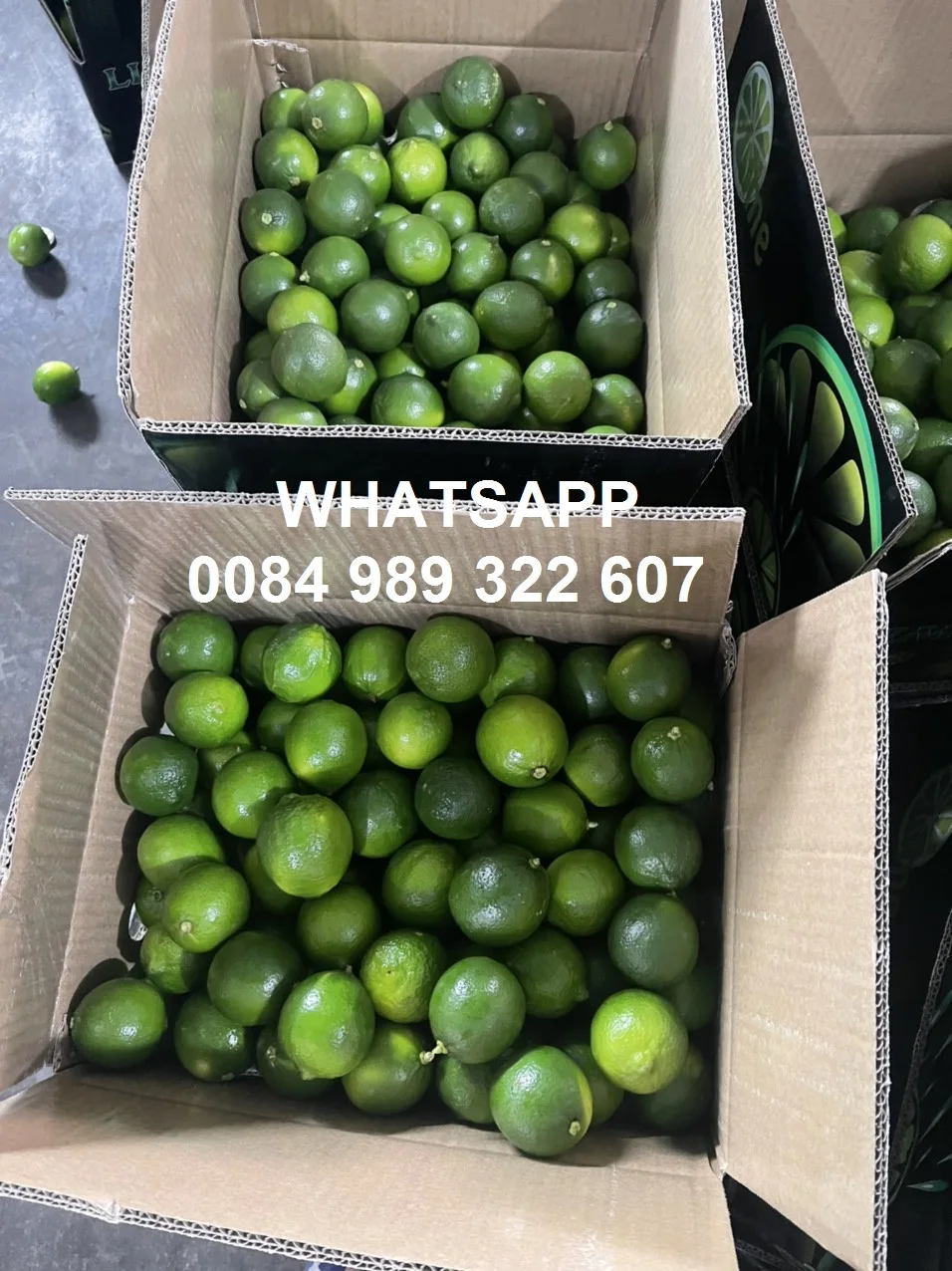 lime (7).jpg