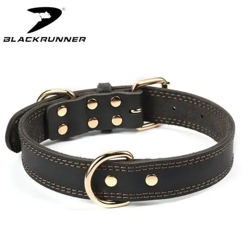 Elegant Leather Dog Collar