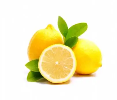 Fresh Lemon  Juicy Fresh Orange 2021 New Harvest Ready To Export BEST PRICE Mayer Enterdonato Lamas Eureka