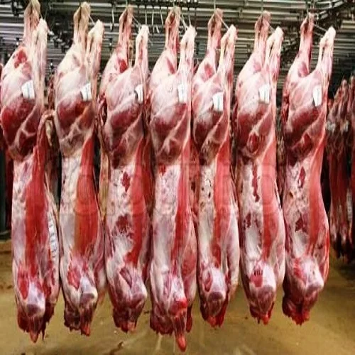Резки из Новой Зеландии замороженная халяльная ягненка баранина мясо готов