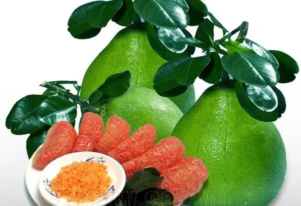 Помело фруктов, лучшее качество для экспорта Вьетнама