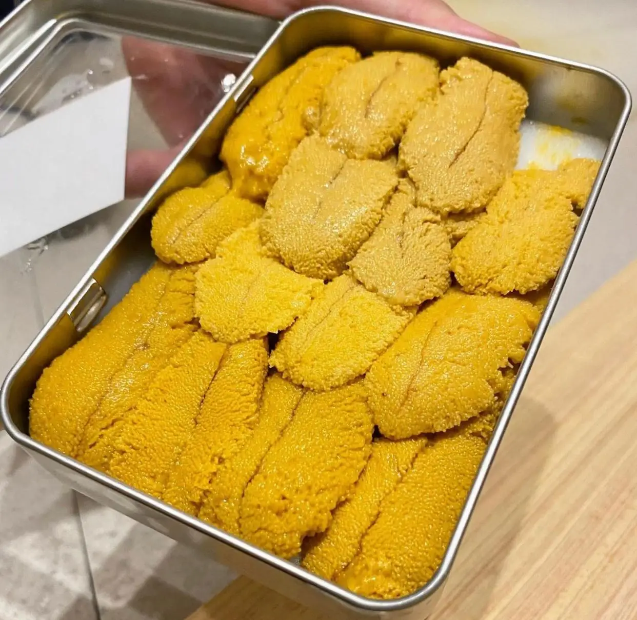 Замороженные питательные морские морепродукты для продажи по низкой