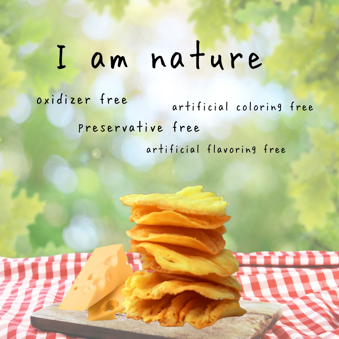 gluten free health food  organic snack cheese Chip