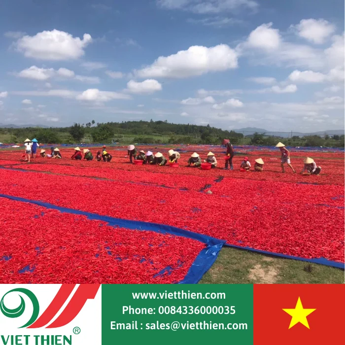 
Dried chili at a reasonable price is made from 100% clean and safe ingredients from farmers in Vietnam big quantity 