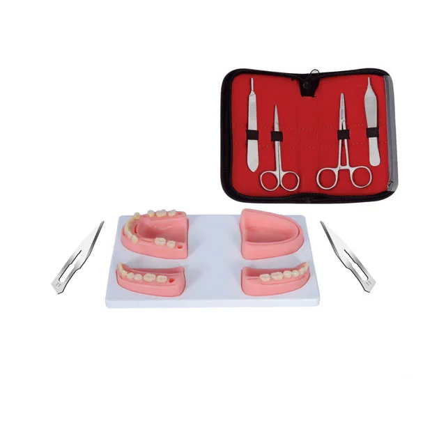 Premium Custom Logo Dental Instrument Suture Kit with Dental Pad Professional Quality Elegant Packaging for Dentist Training