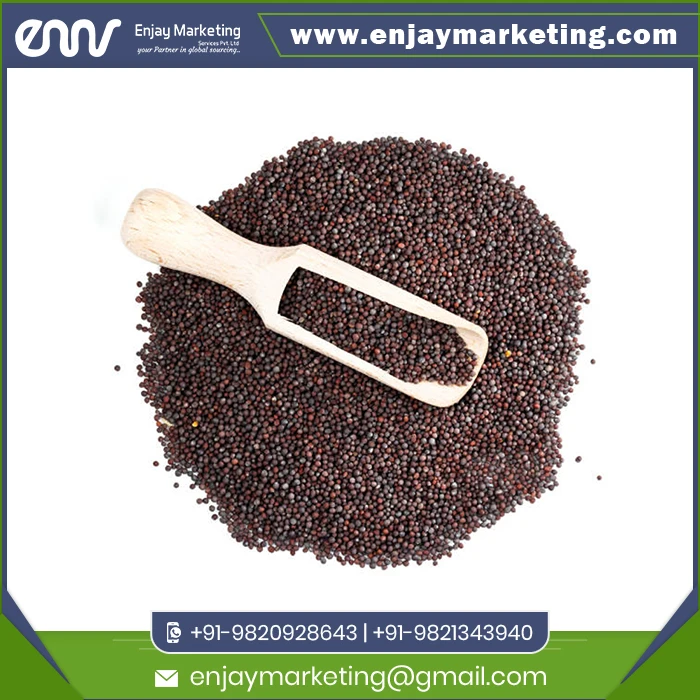 Popular Mustard Black with Custom Packing or Logo Print Buy at Wholesale Price