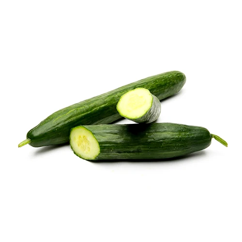 Product 100% Vegetables Green Fresh Cucumber For Sale