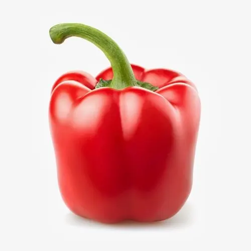 Wholesale Capsicum / Fresh Capsicum Vegetable For Export Now