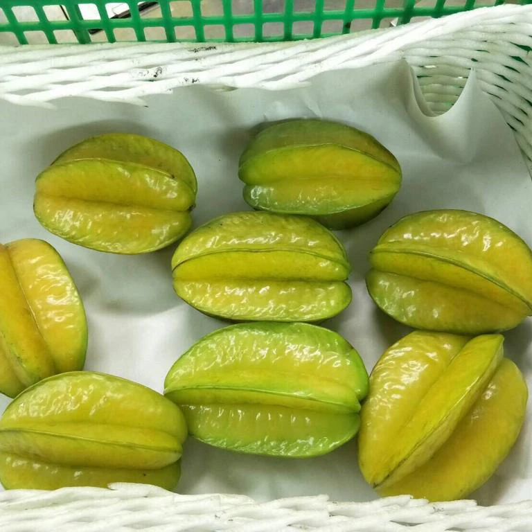 STAR FRUIT