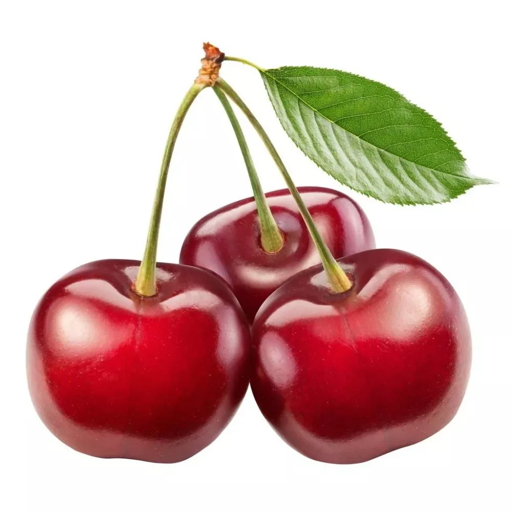 FRESH CHERRY PREMIUM QUALITY FOR SALE