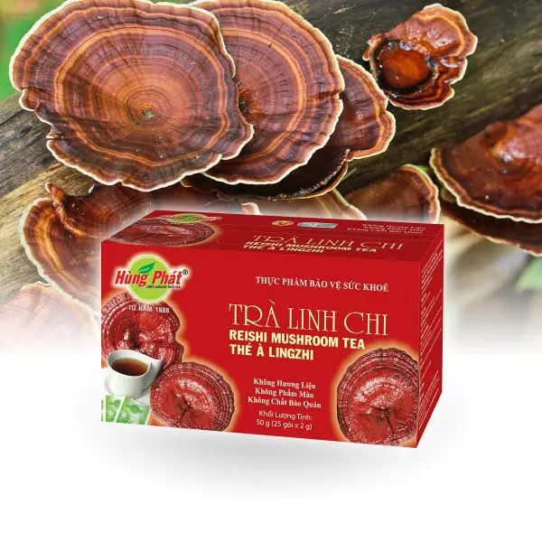 
Reishi Mushrooms Tea 100% Natural Organic Detox Body Herbal Approved HACCP 