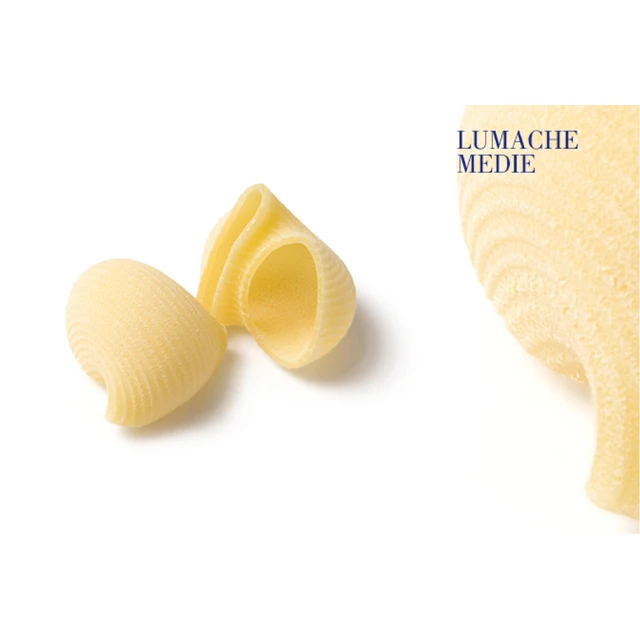 Hote sale quality bronze drawn made in italy pasta Lumache medie 500Gr