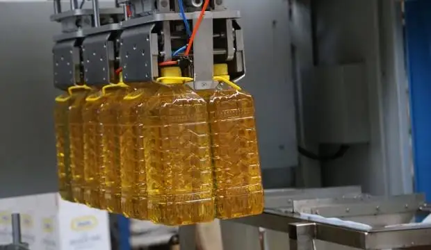 
Organic Oil Hazelnut Oil Refined Organic Original Turkish 100 Purity 100% Pure Cold Pressed Glass Bottle Light Yellow from TR 