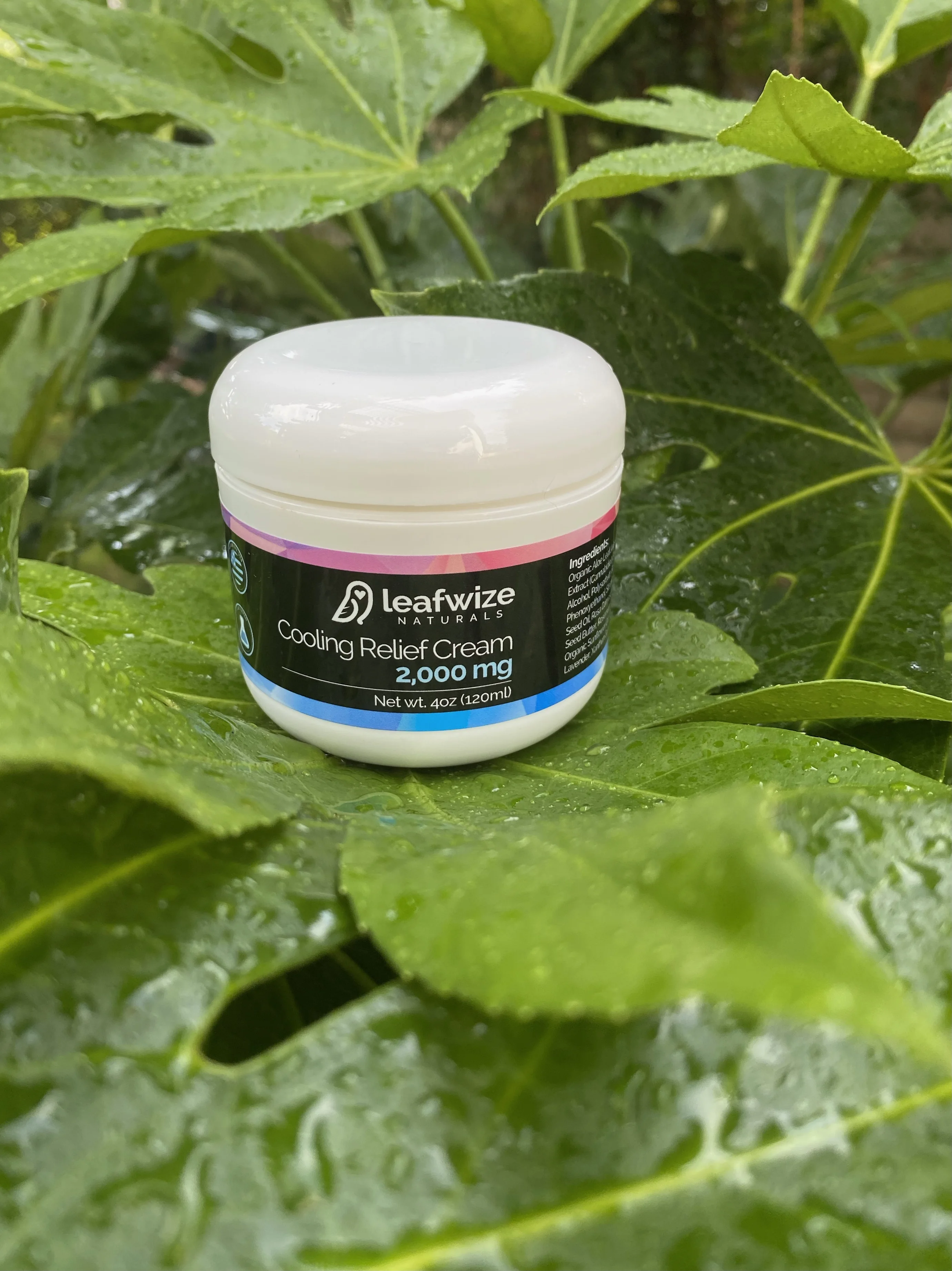 Смягчающий местный Охлаждающий Крем Leafwize Naturals CBD 2000 мг охлаждающий ментол и алоэ с арникой снятие боли