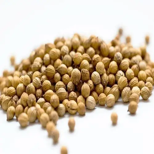 Export quality coriander seed with best quality and most competitive price available in India in customize packing as