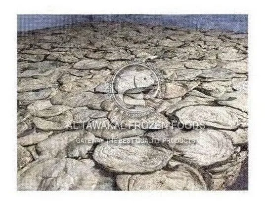 Salted Beef/Buffalo Omasum