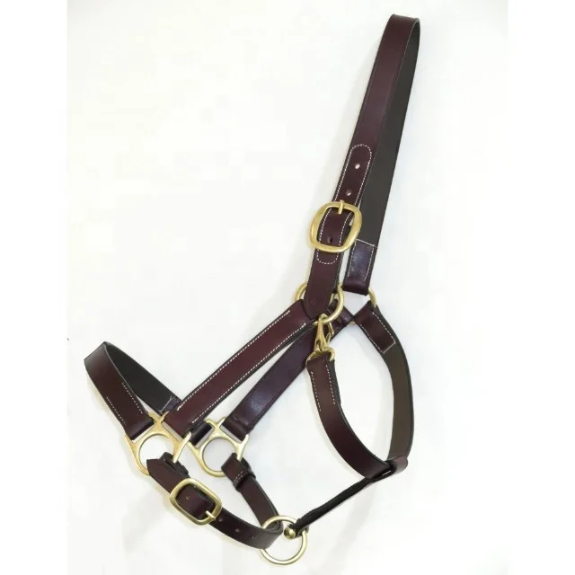 Top Quality Indian Leather Single Ply Leather Horse Halter available in Cheap Price