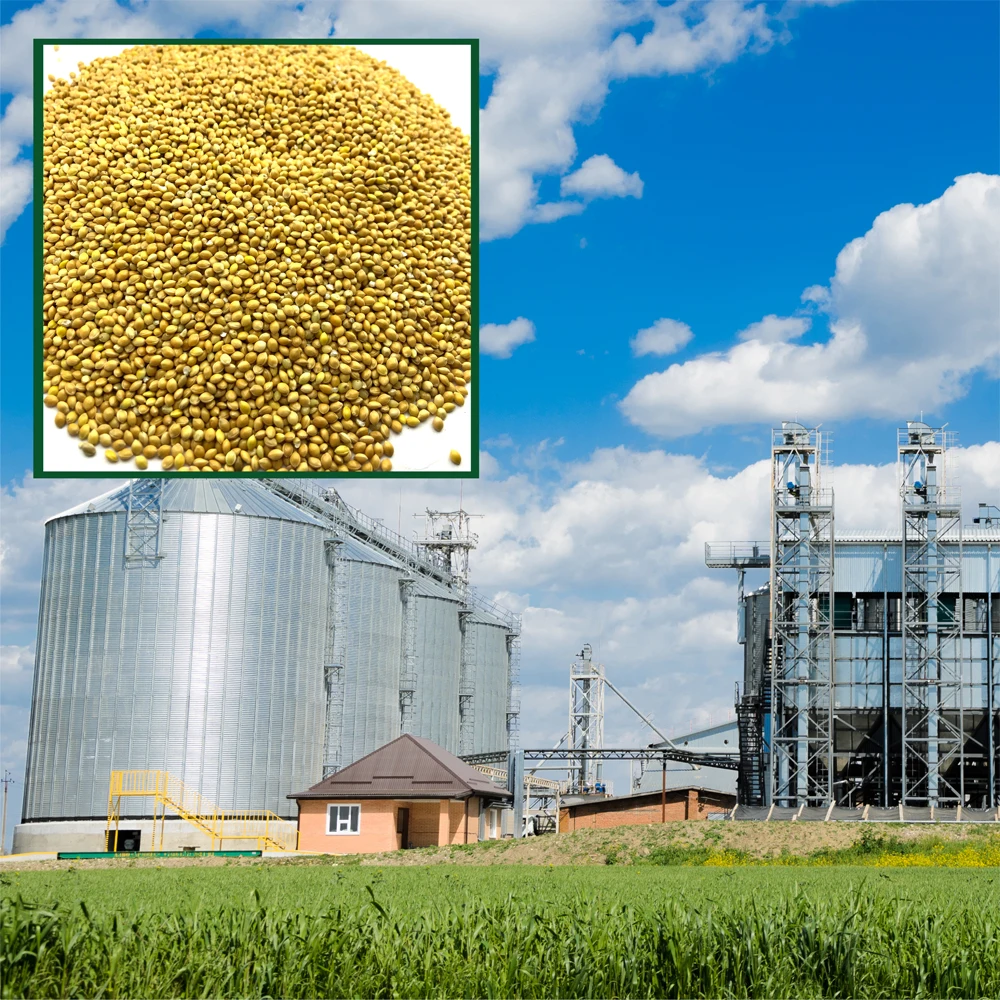 Высококачественные органические пакеты из проса 25 кг, продукт из России