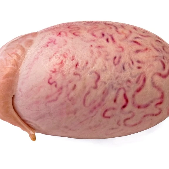 Органические яички из говядины, свежая обработка замороженных яиц из говядины, высокое качество, происхождение в черной глазе