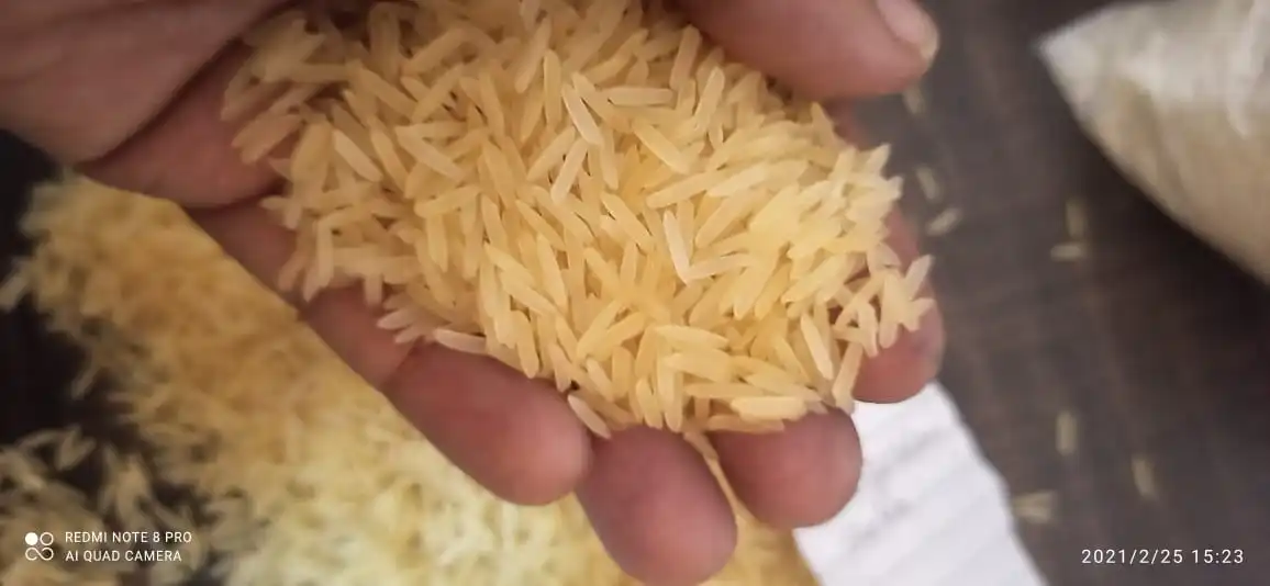 
Golden Sella Indian Basmati Rice Exported From India By VENSAI BASMATI 