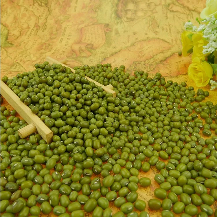 Dal Mung Beans from China Top grade Green Max Pastel ALCHEMY Selected Crop Bulk Style Packaging Pack Newest Color Weight Machine