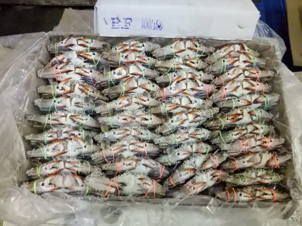 
CRAB BLUE SWIMMING FROZEN 