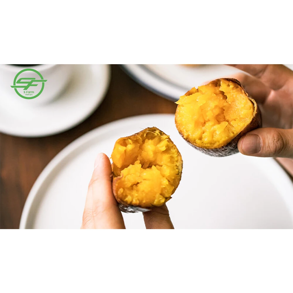 100% экологически чистые Оптовые натуральные желтые сладкие картофели Rick Nutrition (Whatsapp/zalo/wechat: + 84 912 964 858)