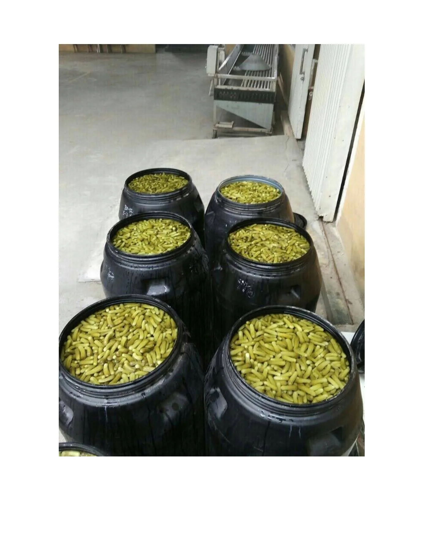 Salted Gherkin Pickles Fresh Cucumber Preserved Vegetable in Vinegar Canned Pickles at Low Price - Ms Caryln 0084935825297