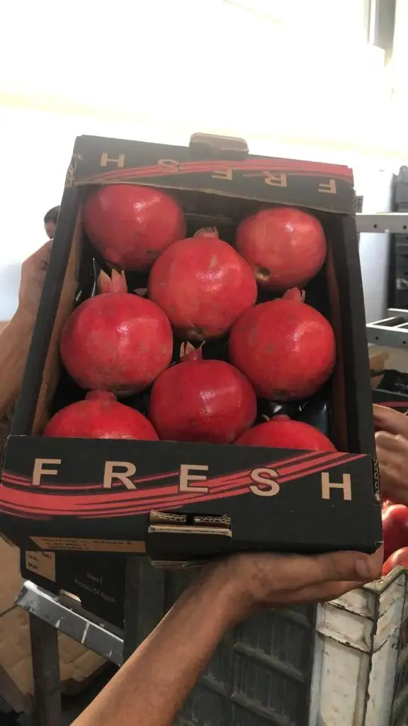 Pomegranate / Fresh Pomegranate