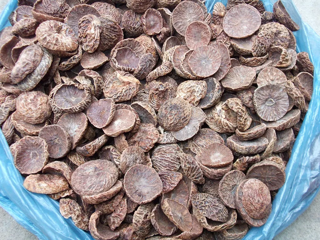 Dried Betel nut Sliced Areca split nuts for