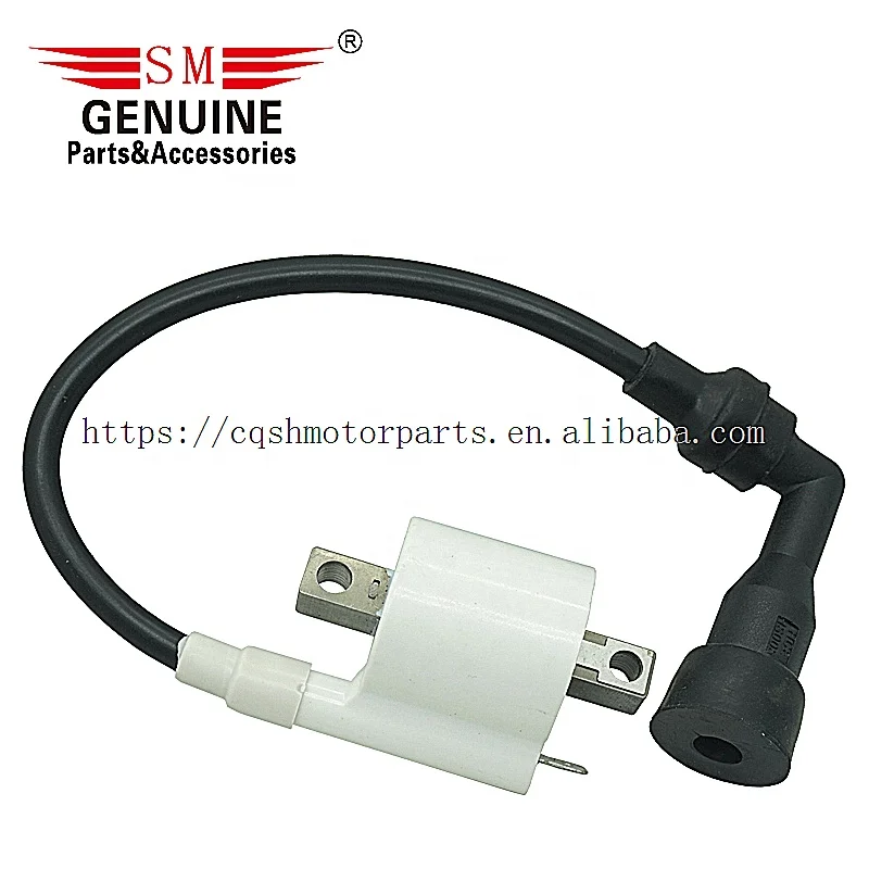  Запчасти для электрической системы мотоцикла 100 катушка BOXER BM150 BM100 бобина PULSAR куб. См