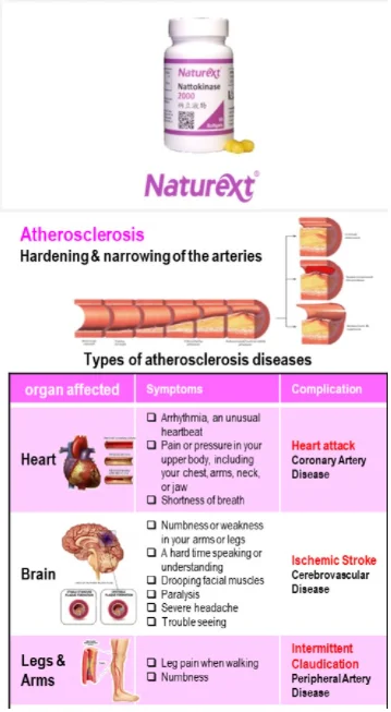 Potent Safe Natural Antithrombotic Agent-Nattokinase 2000 for Coronary Heart Disease Prevention With No Side Effects