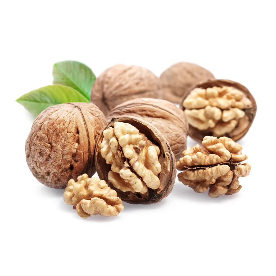 Walnut Specialty Nuts Dried Fruit Delicious Thin Skin Wallnut