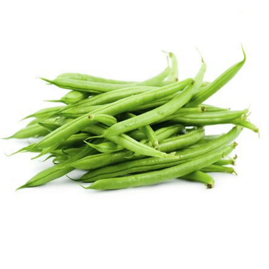 VIETNAMESE FRESH STRING BEANS (Certification: HACCP, GAP...) Sunfruit