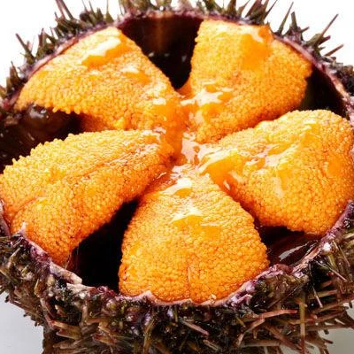
Frozen Sea Urchin Roe 