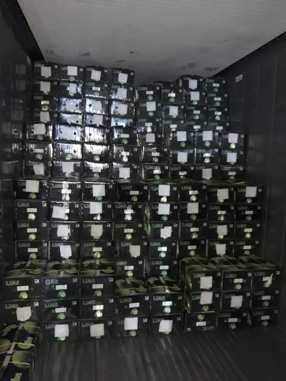 Year Round Lime seedless Viet Nam Fresh Lemon bulk Cheap price OEM/ODM custom package