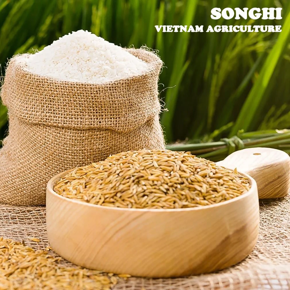 High quality White Rice from Vietnam / Best Rice with Competitive price and variety Packaging (ST24)
