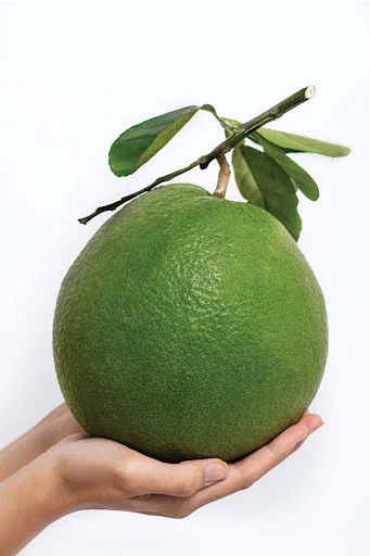 Top Product 2022, Fresh Pomelo In Vietnam, Green pomelo/grapefruit Supper Sweet With Export Quality