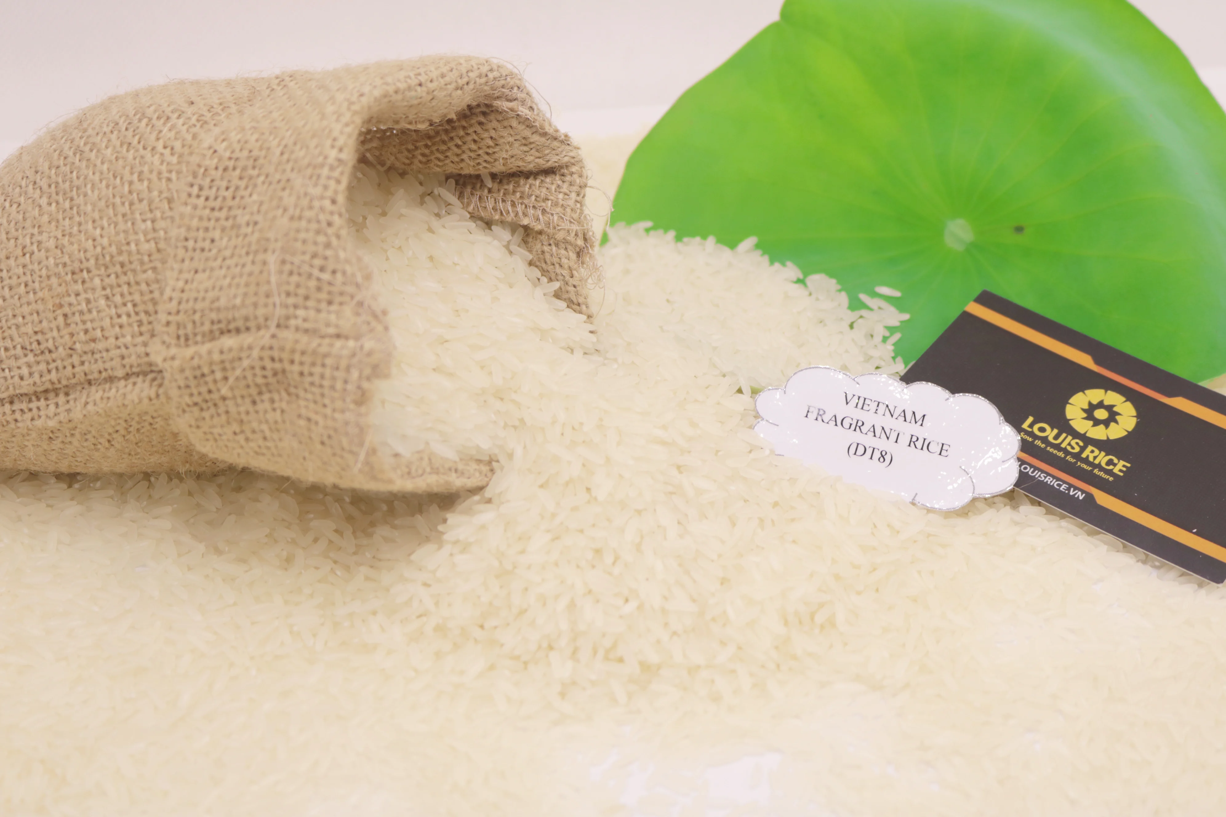 Best Dai Thom 8 rice 5% broken