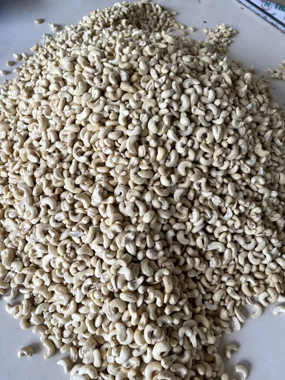 Vietnam Good Quality Cashew Nut Raw Bulk Cashews W240 Raw Cashew Nuts Prices Offered Dried Fruits Nuts