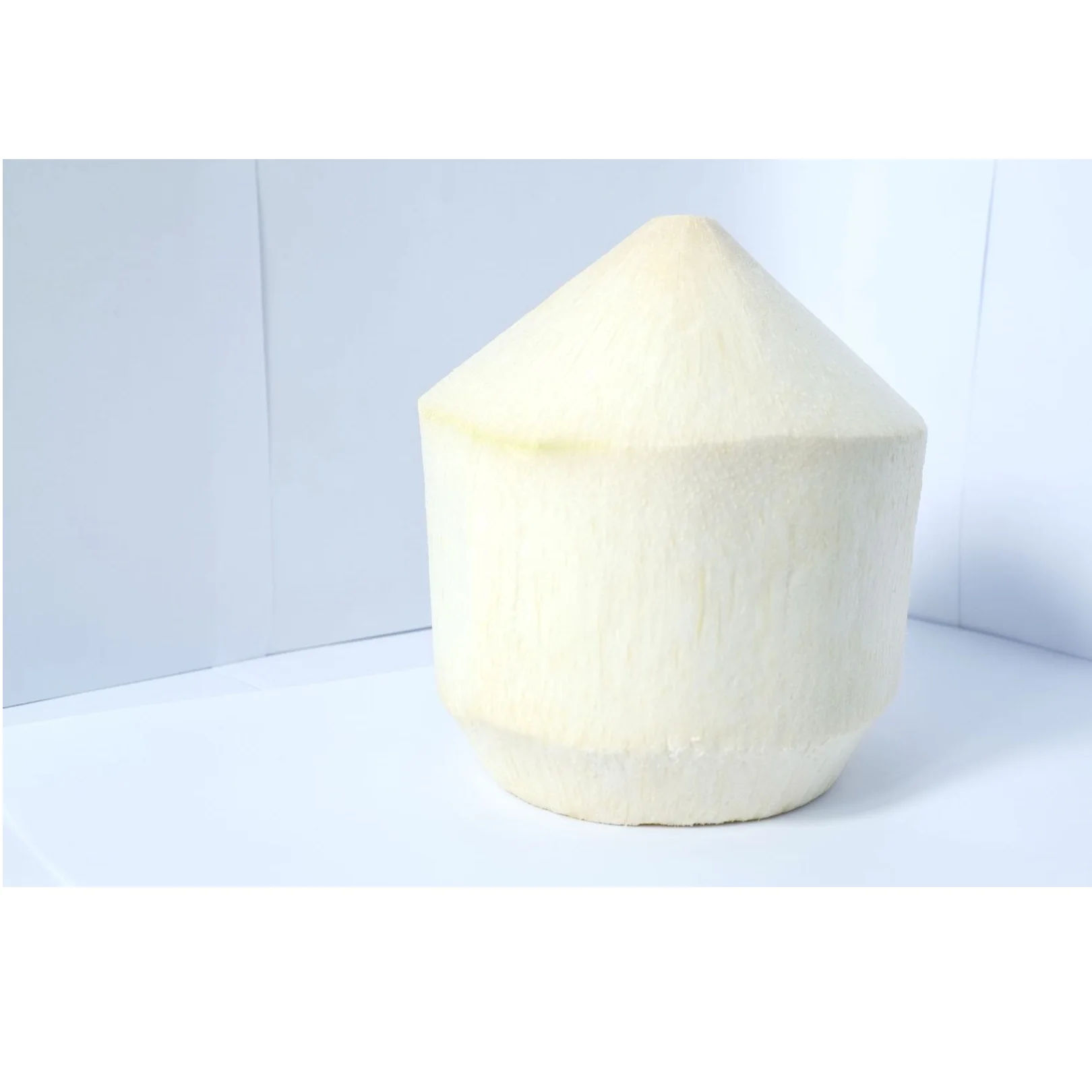 
High Quality Thai Natural Fresh Young Coconut For Sale From Thailand With GAP Certification 