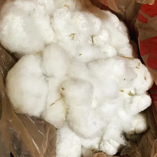 NATURAL RAW COTTON FIBER