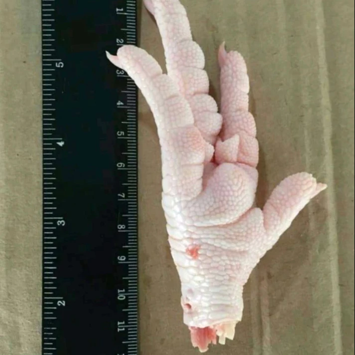 HALAL Chicken Frozen Whole, HALAL FROZEN CHICKEN PAWS FROZEN PROCESSED CHICKEN FOR EXPORT