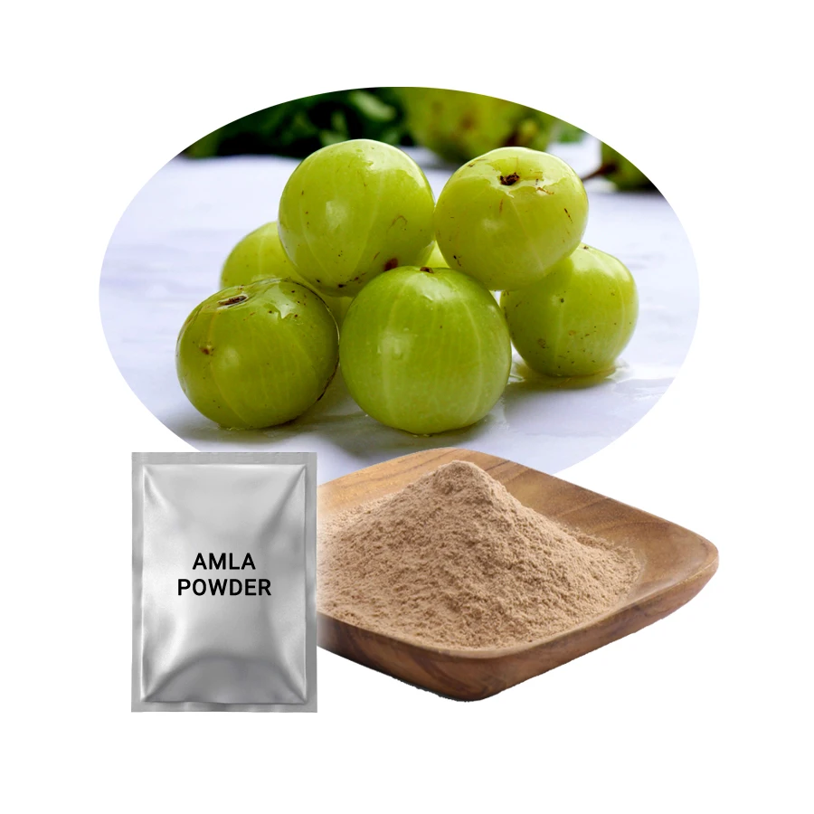 Top Grade OEM Indian Gooseberry Amla Powder Ayurveda Herbal Extract for Hair Growth Herbal Extract Powder Manufacturer