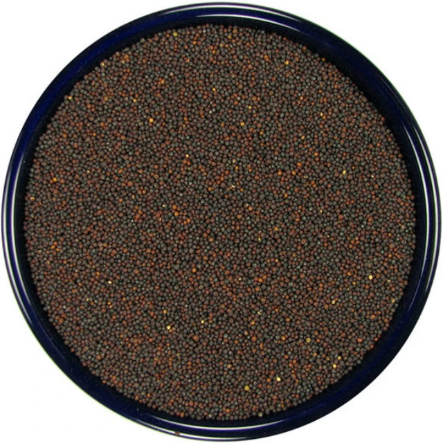 
100% Quality Bag Packaging Canola Seeds Non-GMO Natural Organic Rape Seed Healthy rapeseed canola seeds 