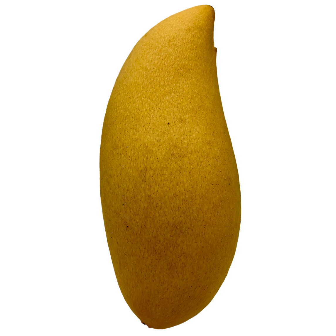 Cheap Price Imported Grade Mangoes Fruit Temperature measuring Top Grade Selecting  for Consuming  from Thailand