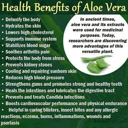 Купите капсулы Aloevera лучшего качества/индийские травяные качества aloevera