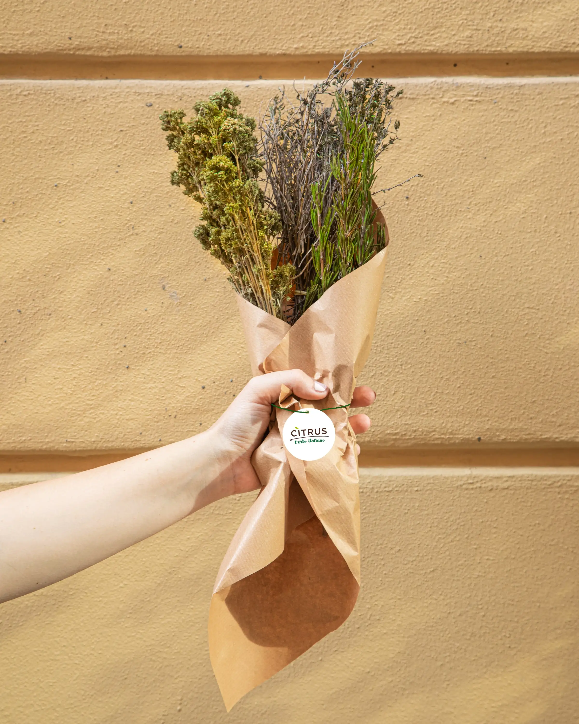 Organic Italian Thyme and Chili pepper in stick Seasoning Single Spices Organic Seasoning for Supermarkets