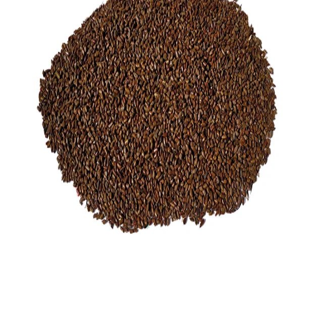 Indian Origin Herb Premium Quality Indian Chiraita - Fuwad Seeds Cassia Tora For Sowing And Health Purpose